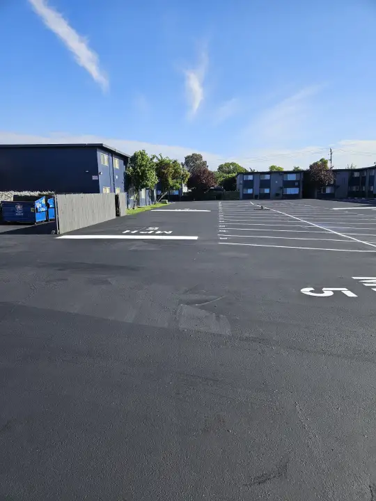 Professional Paving Installation
